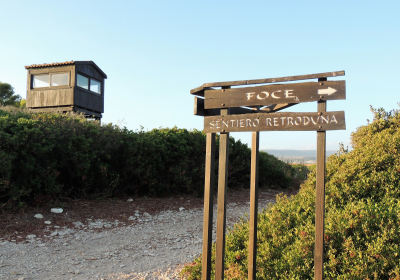 Casa Vacanze Appartamento Marina Di Ragusa Il Gufo E La Civetta Apts